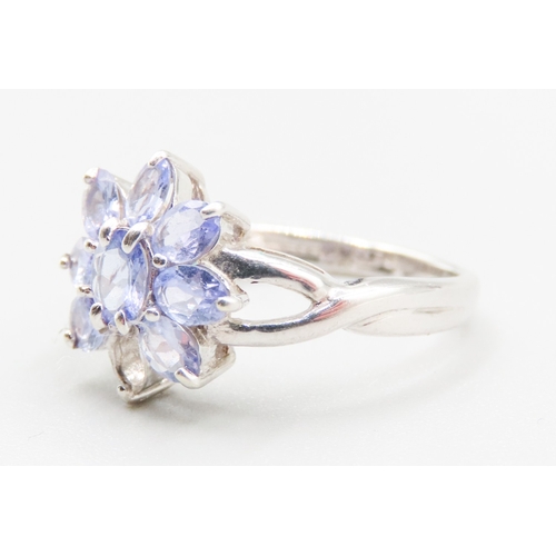 163 - Pale Tanzanite Daisy Cluster Form Ring Mounted in 9 Carat White Gold Ring Size N and a Half  Note On... 