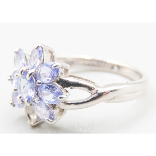 163 - Pale Tanzanite Daisy Cluster Form Ring Mounted in 9 Carat White Gold Ring Size N and a Half  Note On... 