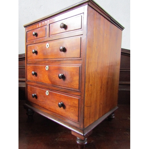 1646 - Regency Apprentice Cabinet or Specimen Chest Two Short Three Long Drawers Above Bun Supports Finely ... 