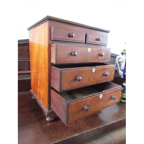 1646 - Regency Apprentice Cabinet or Specimen Chest Two Short Three Long Drawers Above Bun Supports Finely ... 