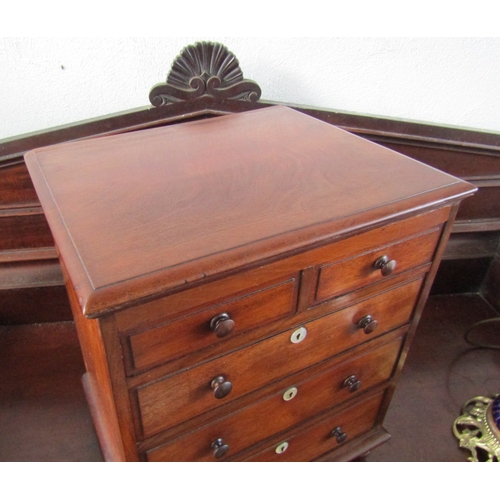 1646 - Regency Apprentice Cabinet or Specimen Chest Two Short Three Long Drawers Above Bun Supports Finely ... 