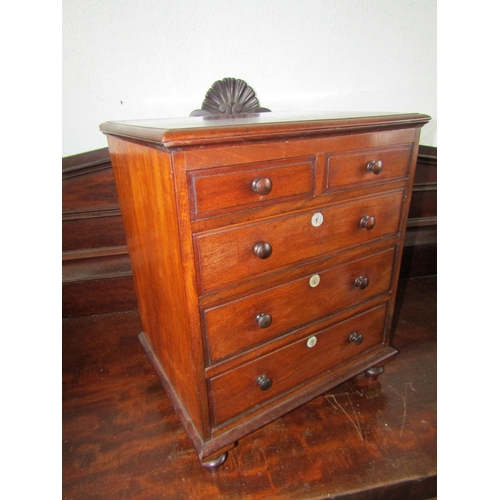 1646 - Regency Apprentice Cabinet or Specimen Chest Two Short Three Long Drawers Above Bun Supports Finely ... 