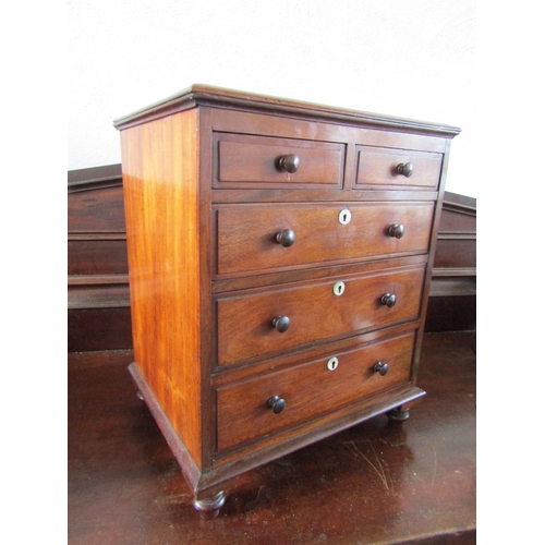 1646 - Regency Apprentice Cabinet or Specimen Chest Two Short Three Long Drawers Above Bun Supports Finely ... 