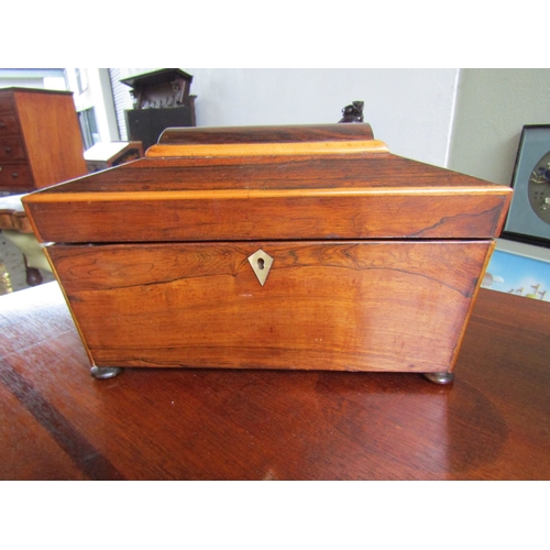 1679 - Rosewood Jewellery Box Sarcophagus Form with Satinwood Edging Shield Form Escutcheon Above Bun Suppo... 