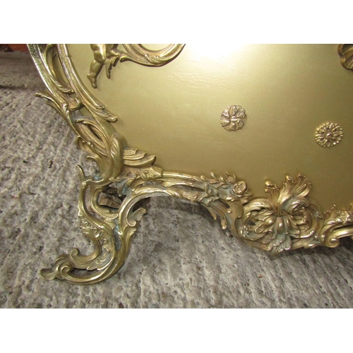 1704 - Ricco Cast Brass Edwardian Fire Screen Shaped Supports Cartouche Form Handle Attractively Detailed T... 