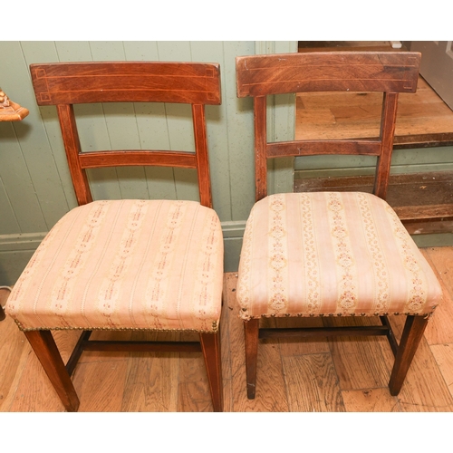 1785 - Three William IV Irish Chairs Upholstered Seats Above Tapering Supports