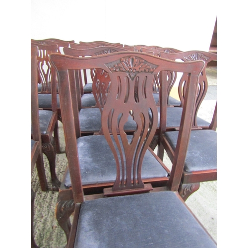 1899 - Set of Thirteen Antique Irish Mahogany Dining Chairs Upholstered Seats Above Claw and Ball Supports