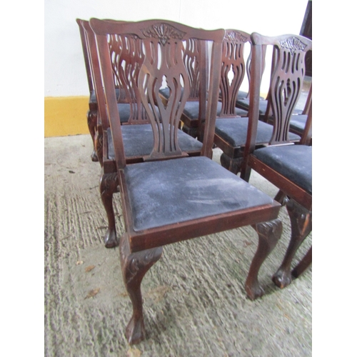 1899 - Set of Thirteen Antique Irish Mahogany Dining Chairs Upholstered Seats Above Claw and Ball Supports