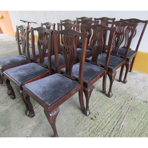 1899 - Set of Thirteen Antique Irish Mahogany Dining Chairs Upholstered Seats Above Claw and Ball Supports