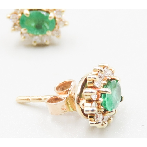 346 - Columbian Emerald AAA+ and Diamond Set Ladies Cluster Earrings Mounted in 14 Carat Yellow Gold 1cm H... 