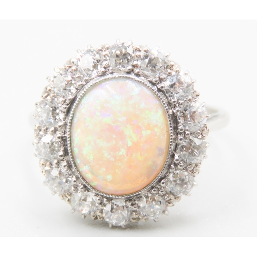 446 - Opal Centre Stone Ring with Fourteen Diamond Set Halo Surround Mounted in Platinum Ring Size P