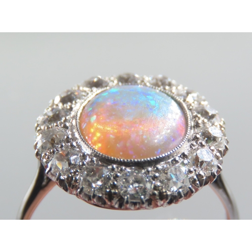 446 - Opal Centre Stone Ring with Fourteen Diamond Set Halo Surround Mounted in Platinum Ring Size P