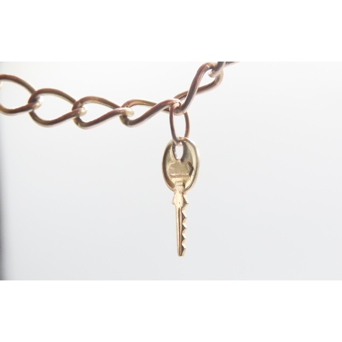 453 - 9 Carat Yellow Gold Bracelet Key and Lucky Horseshoe Charms Heart Padlock Clasp 18cm Long