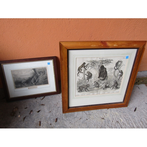 1971 - Two Old Engravings Framed Largest Approximately 14 Inches High x 16 Inches Wide