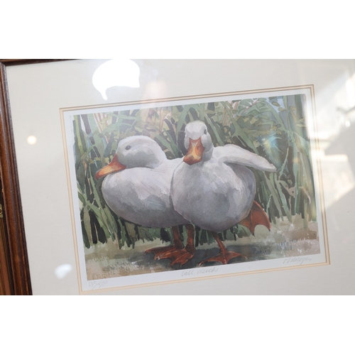 1079 - Frances Morris Pair of Gilt Framed Lithographs Each Signed and Numbered by the Artist and Another of... 