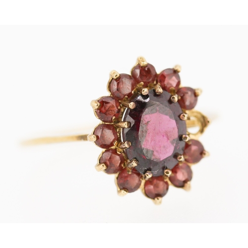 113 - Red Garnet Set Ladies Cluster Ring Mounted in 9 Carat Yellow Gold Ring Size N Note One Stone Lacking