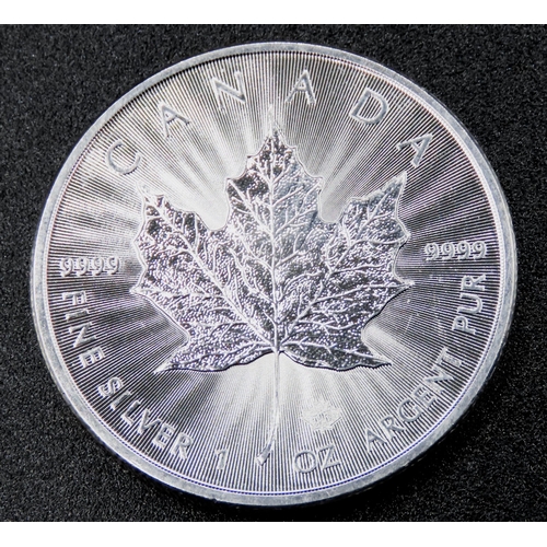 1719 - Canadian Pure Silver Maple Leaf Coin 1oz