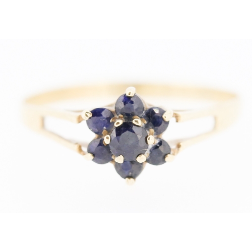 230 - Sapphire Set Daisy Form Ring Mounted in 9 Carat Yellow Gold Ring Size R