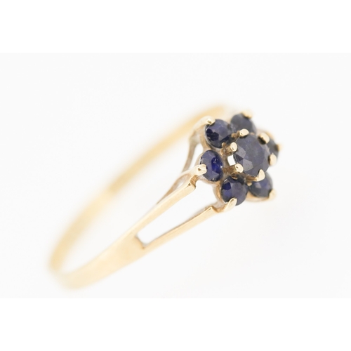 230 - Sapphire Set Daisy Form Ring Mounted in 9 Carat Yellow Gold Ring Size R