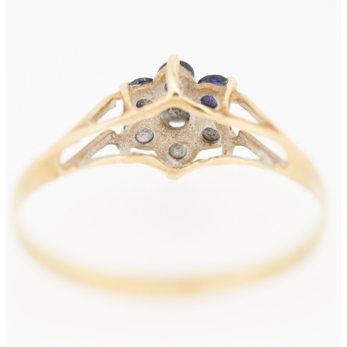 230 - Sapphire Set Daisy Form Ring Mounted in 9 Carat Yellow Gold Ring Size R