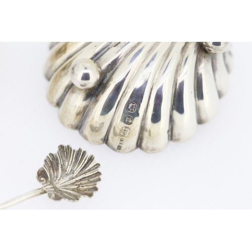 260 - Pair of Silver Scallop Shell Motif Table Salts with Matching Silver Salt Spoons Contained within Ori... 