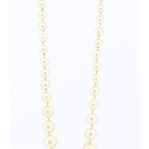 262 - Fantasy Pearl Necklace Graduated Form with Silver Clasp 40 cm Long