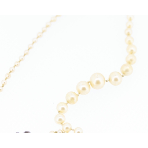 262 - Fantasy Pearl Necklace Graduated Form with Silver Clasp 40 cm Long