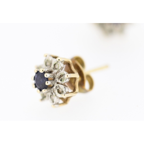 363 - Pair of Sapphire and Diamond Set Daisy Motif Earrings Mounted in 9 Carat Yellow Gold 1cm High