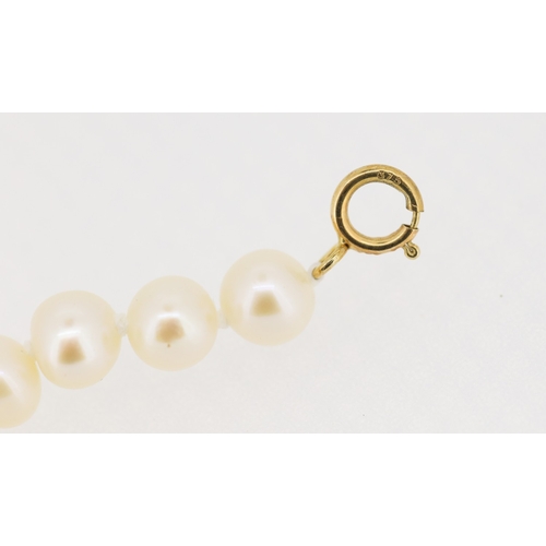 387 - Two Pearl Necklaces One 125cm Long One 46cm Long with 9 Carat Gold Clasp