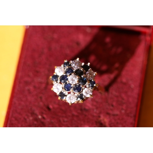 45 - Sapphire and Gemstone Set Cluster Ring Mounted in 9 Carat Yellow Gold Ring Size L