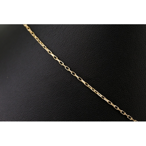 573 - 9 Carat Yellow Gold Locket Pendant 1.5cm High Set on 9 Carat Yellow Gold Chain 43cm Long