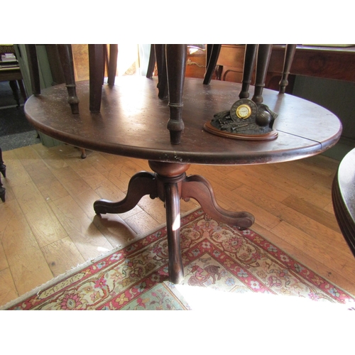 713 - Irish William IV Centred Table Mahogany Tripod Base Approximately 5ft Long