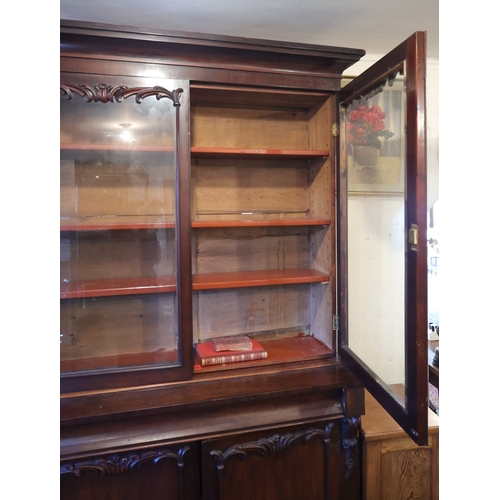 889 - Irish William IV Two Door Bookcase Glazed Top Above Single Long Drawer Covered Base Approximately 4f... 