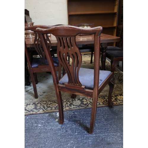 912 - Set of Twelve with One Extra Irish Chippendale Mahogany Dinning Room Chairs Upholstered Seats Above ... 