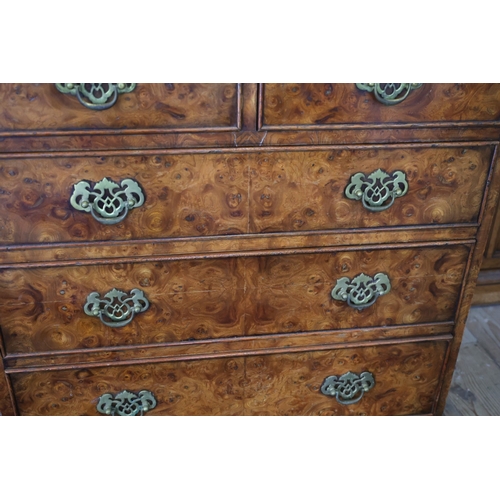 946 - Fine Birds Eye Walnut Bachelors Chest of Two Short Three Long Drawers Above Bracket Supports Origina... 