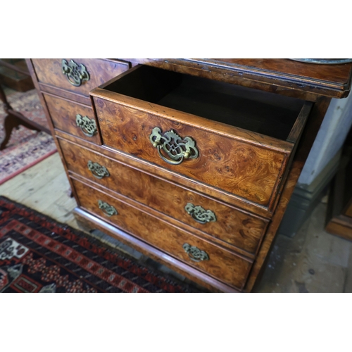 946 - Fine Birds Eye Walnut Bachelors Chest of Two Short Three Long Drawers Above Bracket Supports Origina... 