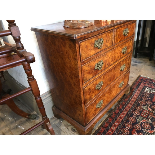 946 - Fine Birds Eye Walnut Bachelors Chest of Two Short Three Long Drawers Above Bracket Supports Origina... 