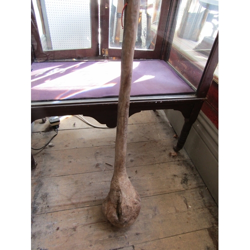 Lot 28        