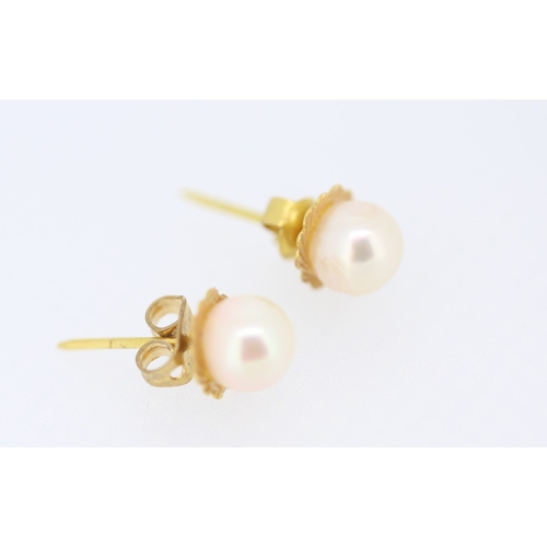 137 - Pair of Pearl Set Earrings Mounted in 9 Carat Yellow Gold 7mm High