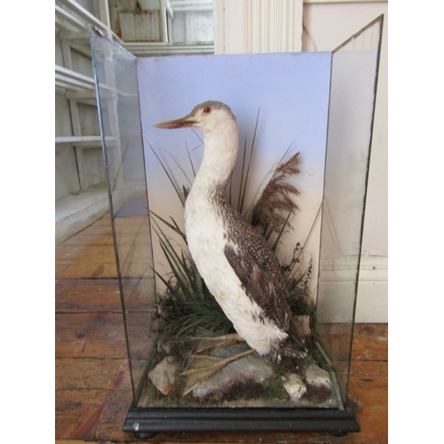 26 - Stuffed Bird Contained Within Semi-Glazed Case  Approximately 2ft High