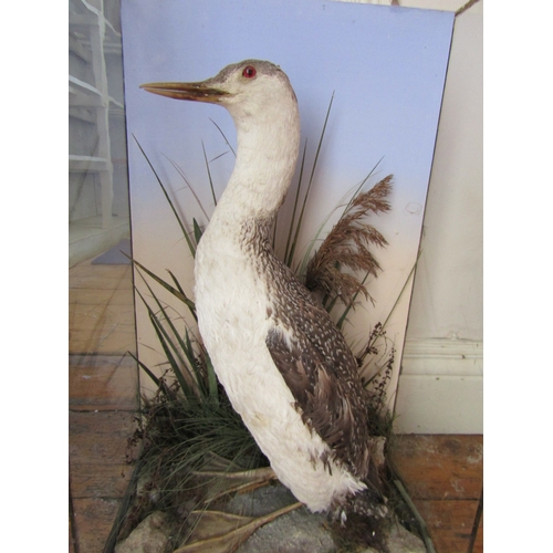 26 - Stuffed Bird Contained Within Semi-Glazed Case  Approximately 2ft High