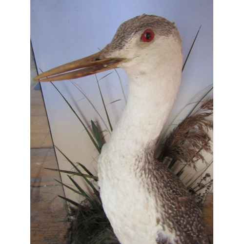 26 - Stuffed Bird Contained Within Semi-Glazed Case  Approximately 2ft High