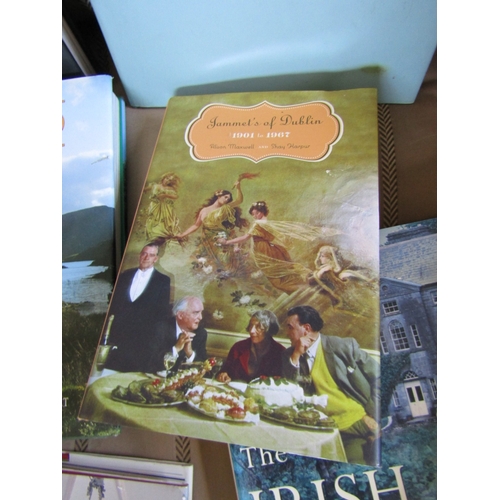 41 - Collection of Various Books Irish Interest Including Hardback Volume Ireland's Painters by Ann Crook... 