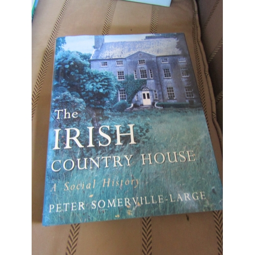 41 - Collection of Various Books Irish Interest Including Hardback Volume Ireland's Painters by Ann Crook... 