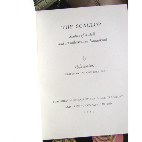 42 - Various Volumes Concerning Art and Architecture Quantity as Photographed