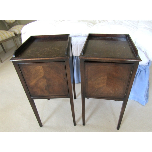 50 - Pair of Antique Single Door Side Lockers Three Quarter Gallery Above Single Doors Each Approximately... 