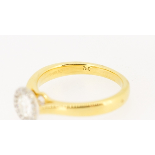 31 - Diamond Solitaire Ring with Diamond Set Halo Surround Mounted in 18 Carat Yellow Gold Ring Size L Ma... 