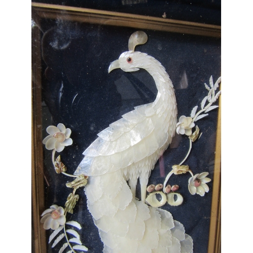 59 - Mother of Pearl Set Piece of Peacock on Dark Navy Background Approximately 14 Inches High x 8 Inches... 