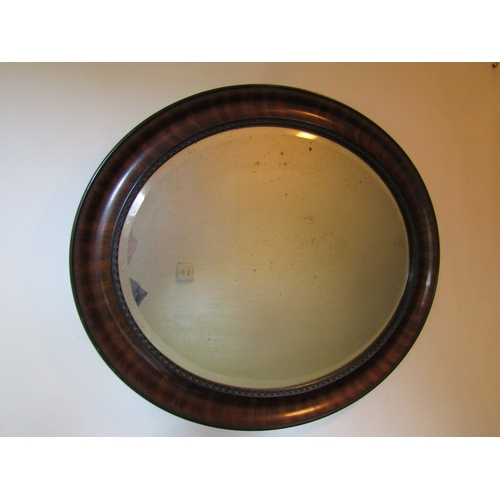 7 - Edwardian Walnut Framed Oval Mirror Approximately 22 Inches Wide