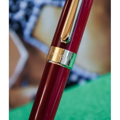 44 - Platinum Fountain Pen Enamel Decorated Gold Filled